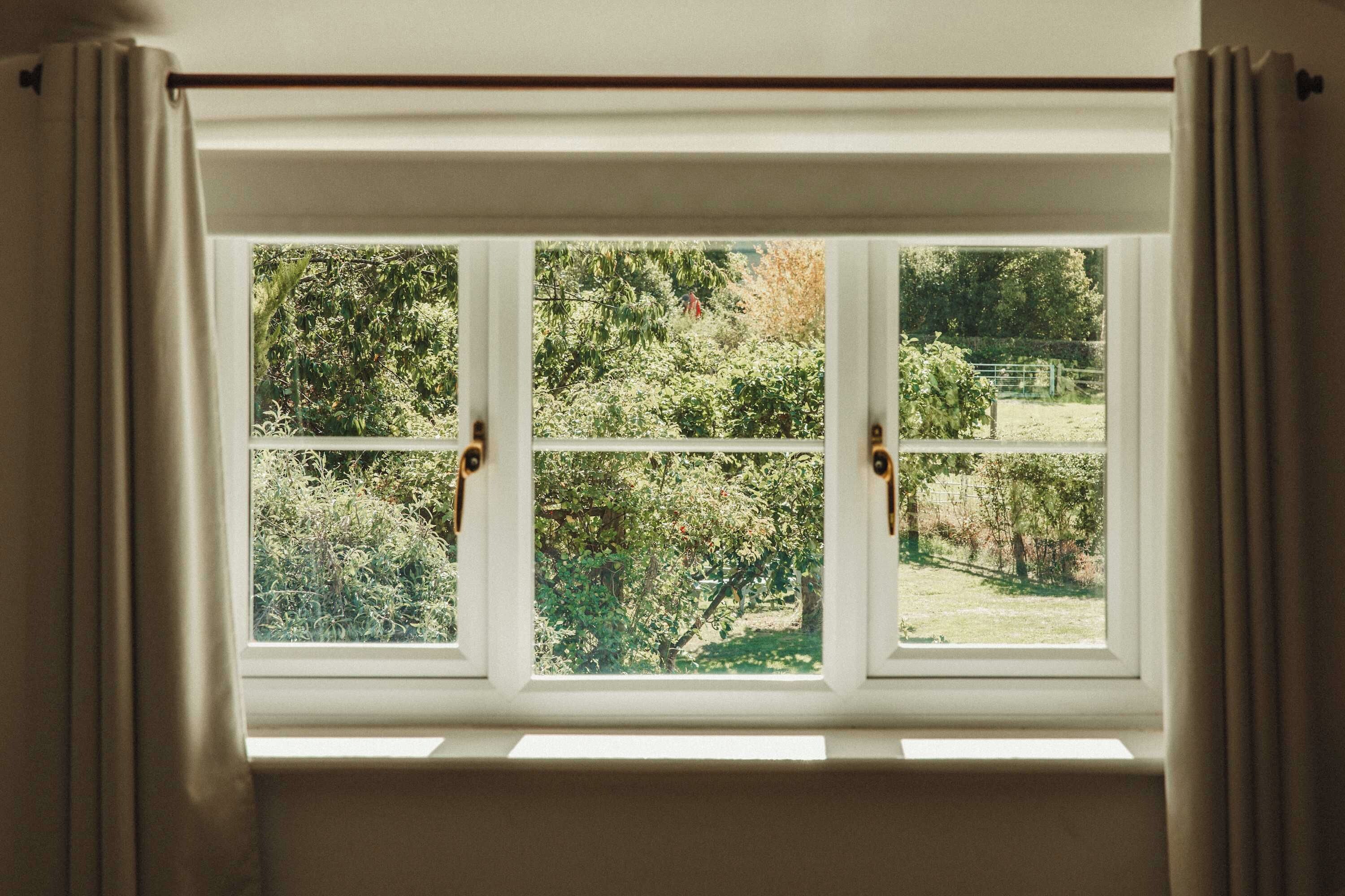 Una ventana con vista a un jardín.