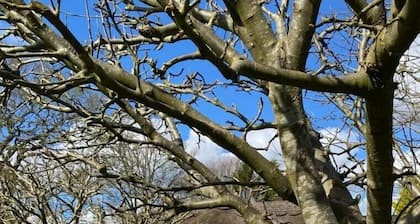 Kings Cottage - Heart of the Deverills