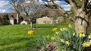 A traditional stone house with a thatched roof, surrounded by a well-maintained lawn and daffodils. - Kings Cottage - Heart of the Deverills (Warminster)