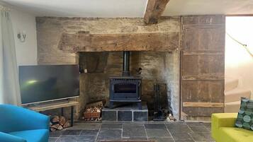 Télévision, cheminée, livres, espaces bureaux