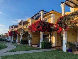 Exterior - THE BIRDS OF PARADISE (Faro)