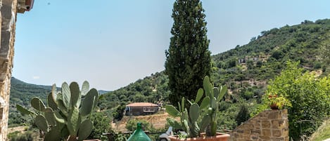 Jardin