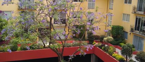 Terrain de lâhĂ©bergement