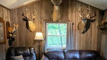 TV connectée, cheminée, lecteur de DVD, chaßne hi-fi