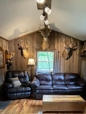 TV connectée, cheminée, lecteur de DVD, chaîne hi-fi