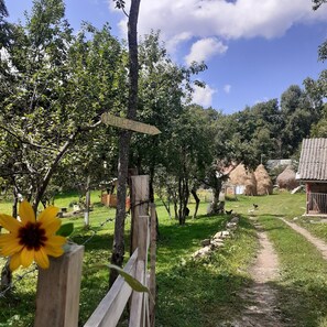 Camping area with a thatched-roof structure and grassy path.