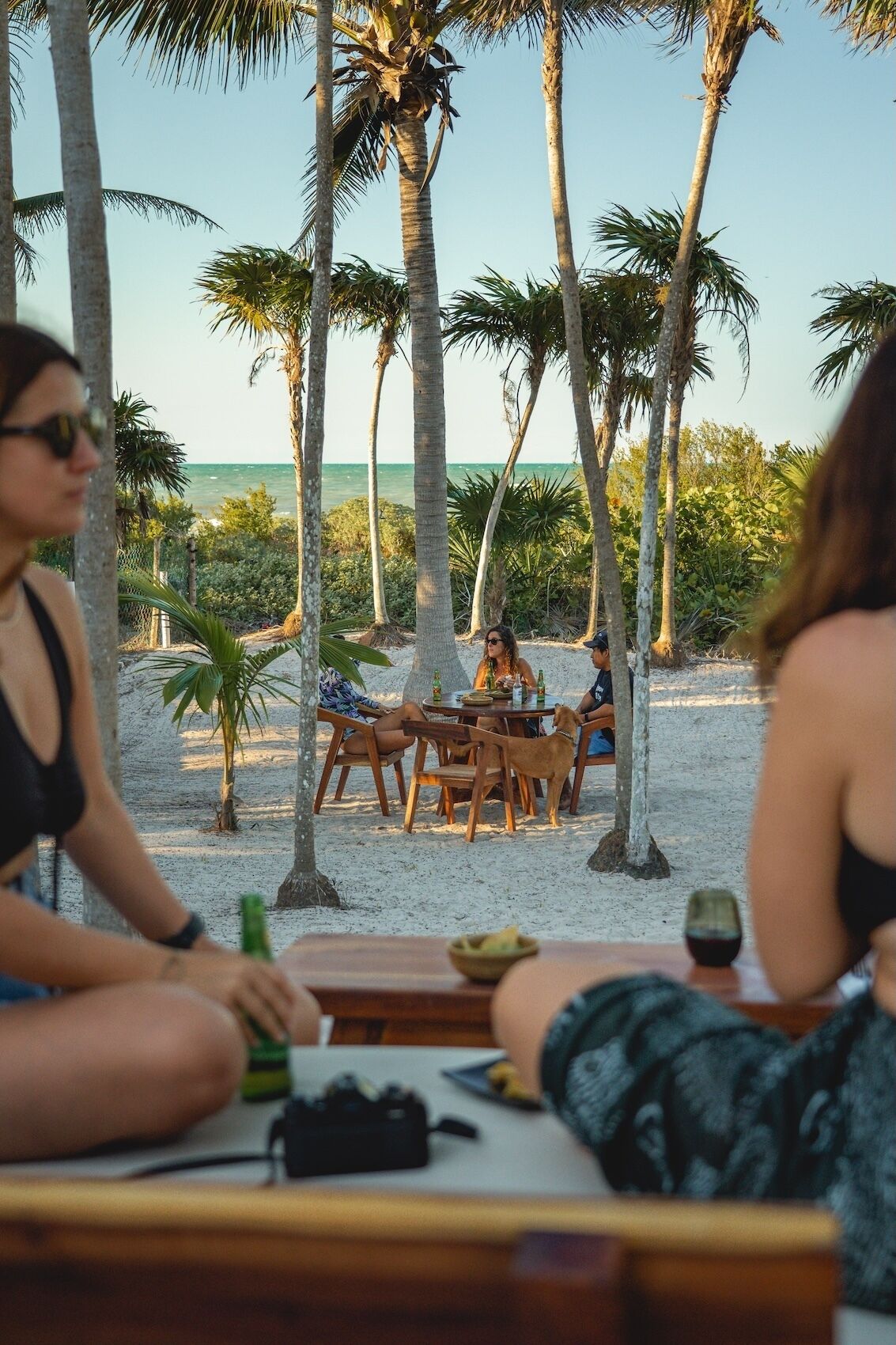 Un área de comedor frente a la playa, con una mesa y sillas, rodeada de palmeras y vista al océano.