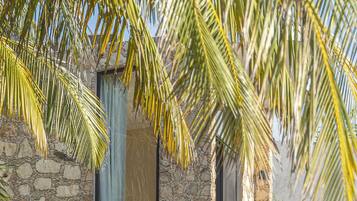 Habitación doble Premium | Terraza o patio