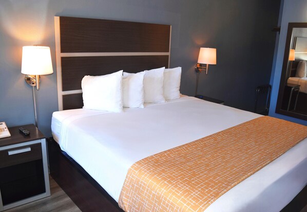 スーペリア シングルルーム | 遮光カーテン、アイロン / アイロン台、WiFi (無料)、ベッドシーツ