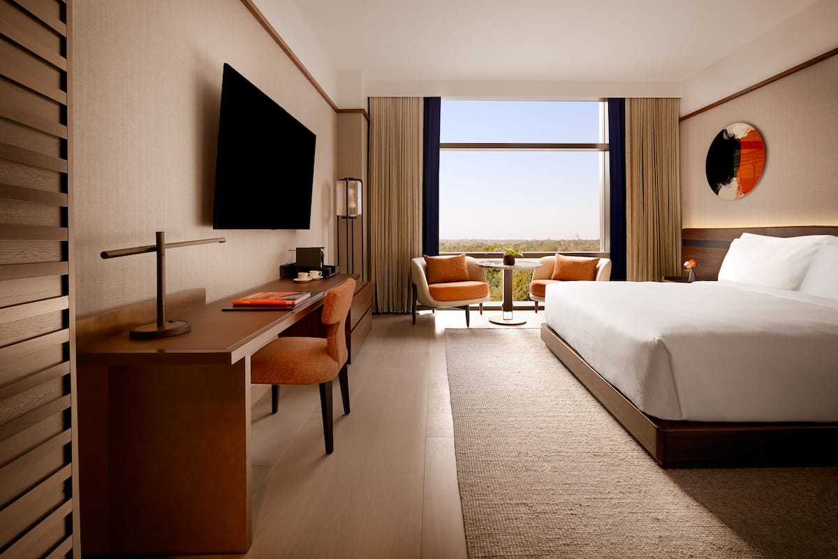 A hotel room with a bed, a desk with a chair, a TV, a small table with a plant, and a view of the city.