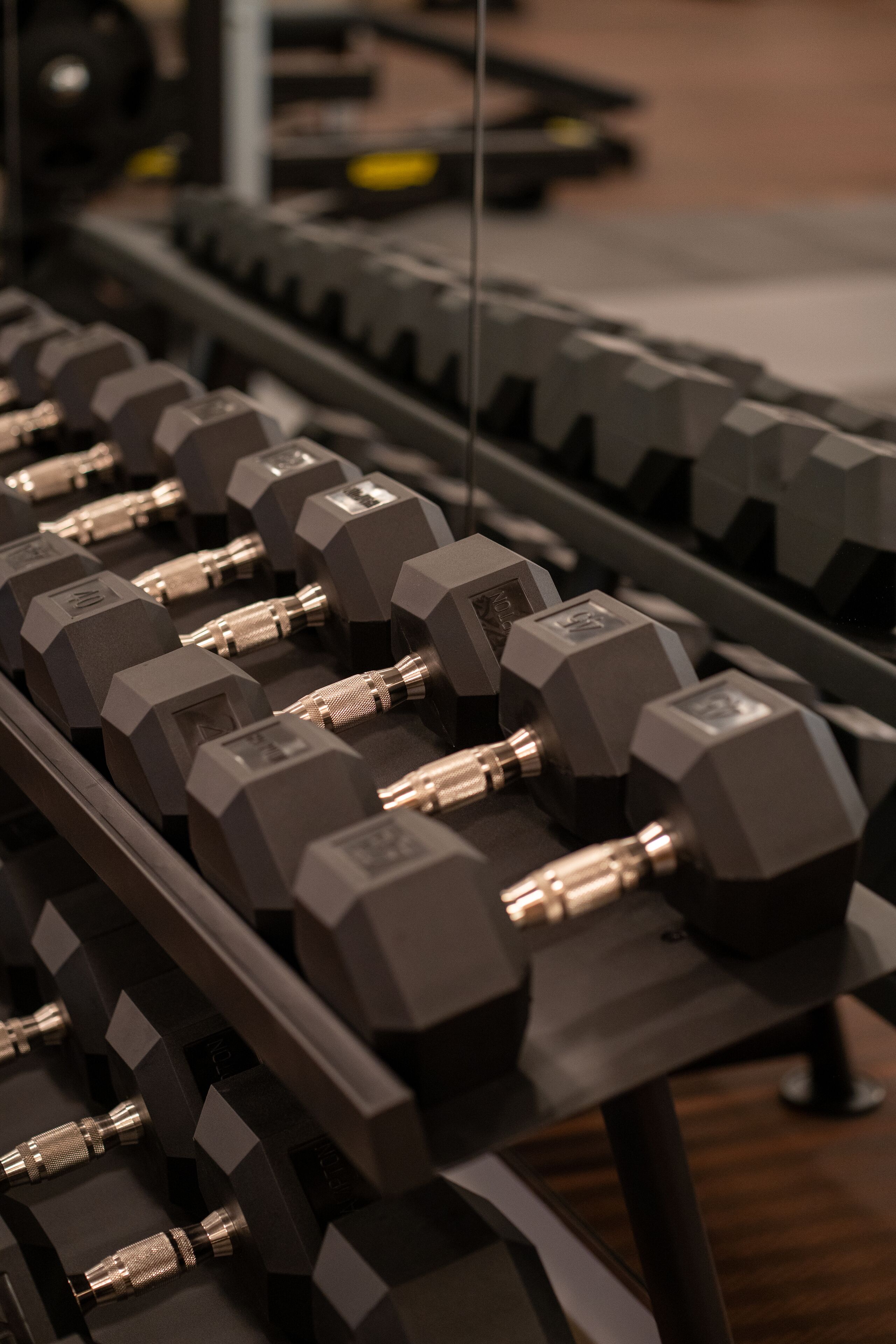 A rack of dumbbells in a gym.
