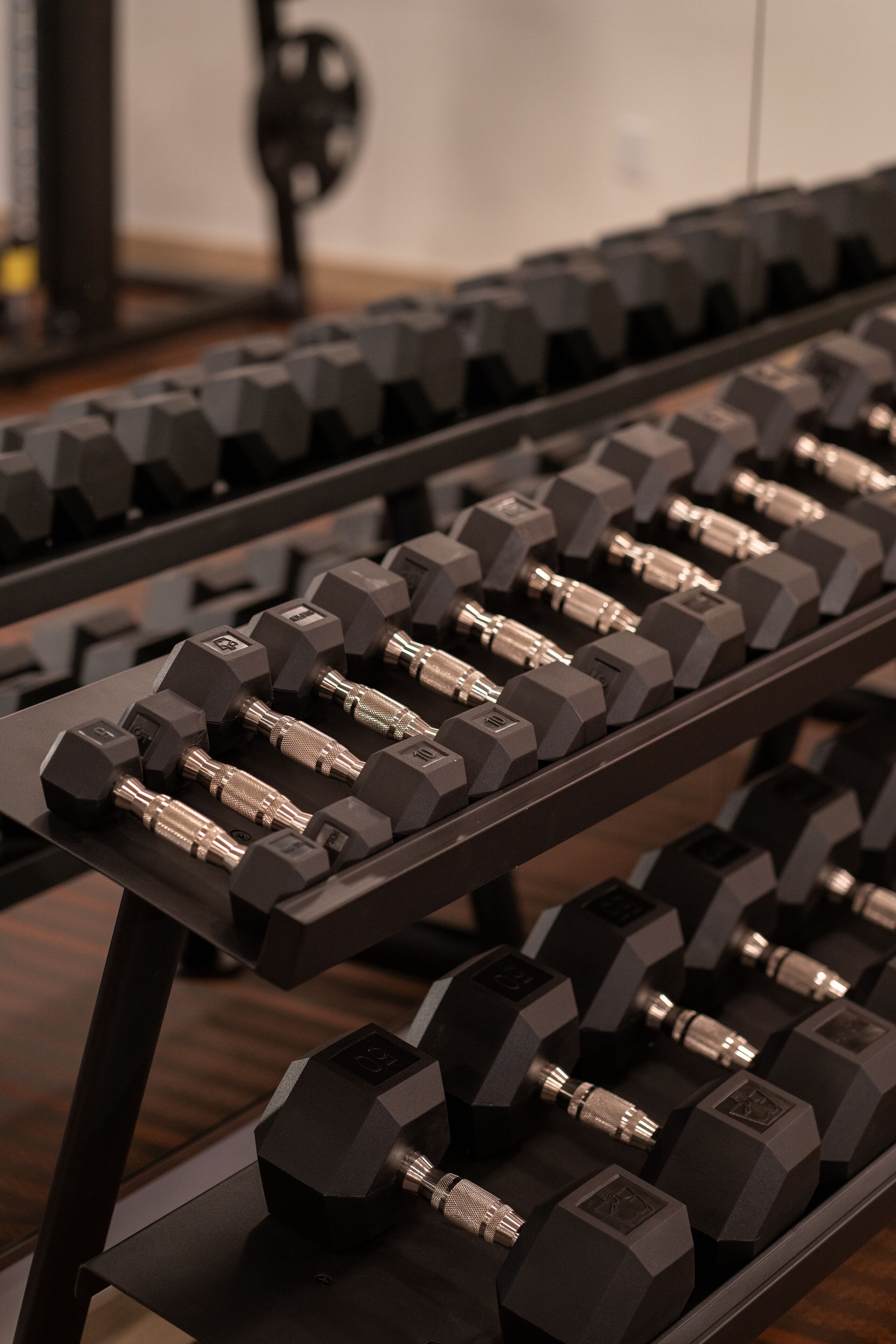 A rack of black dumbbells in a gym setting.