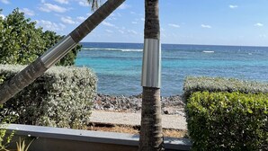 A palm tree with coconuts, a clear blue sky, and a view of the ocean. - Peaceful Ocean Front Condo (Bodden Town)
