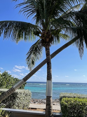 Sulla spiaggia, lettini da mare
