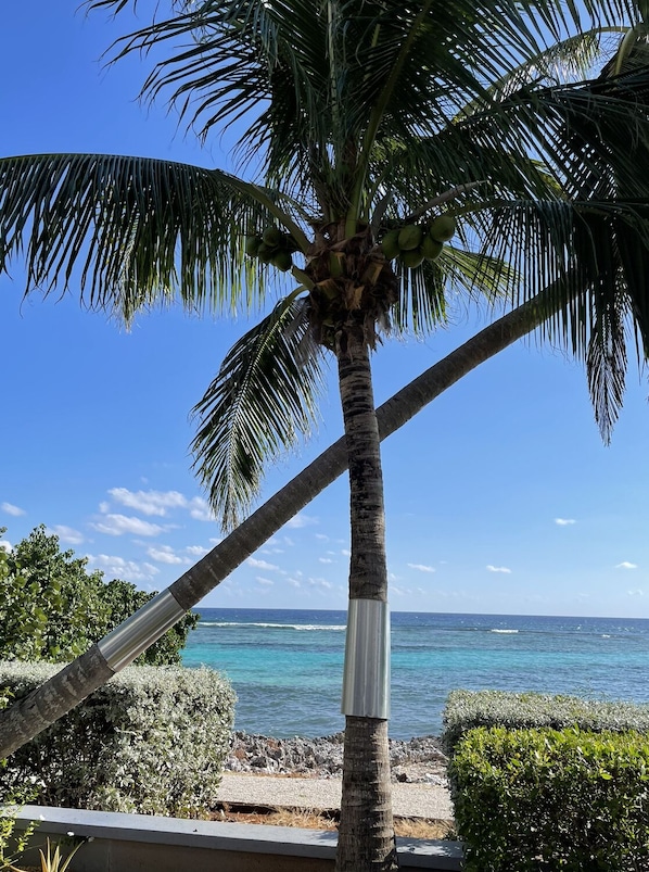On the beach, sun loungers