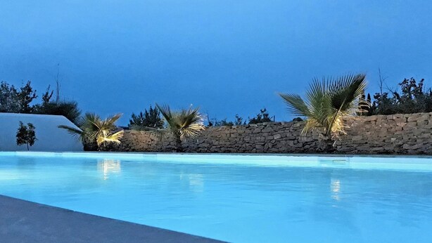 Ein Swimmingpool mit Steinmauer und Palmen.