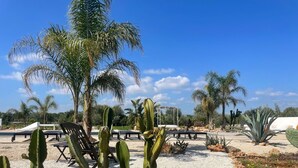 Jardín desértico con cactus, palmeras y asientos al aire libre.