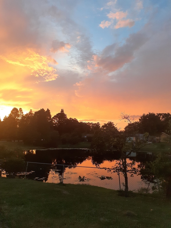 Un tranquilo atardecer sobre un lago, con árboles y una cerca en primer plano.