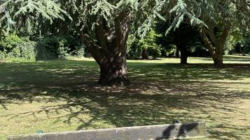 Apartment, 1 Queen Bed | Property grounds