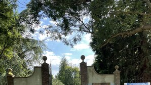 Ein gepflasterter Weg führt zu einem verschlossenen Eingang mit Backsteinmauern und Metallgittern.