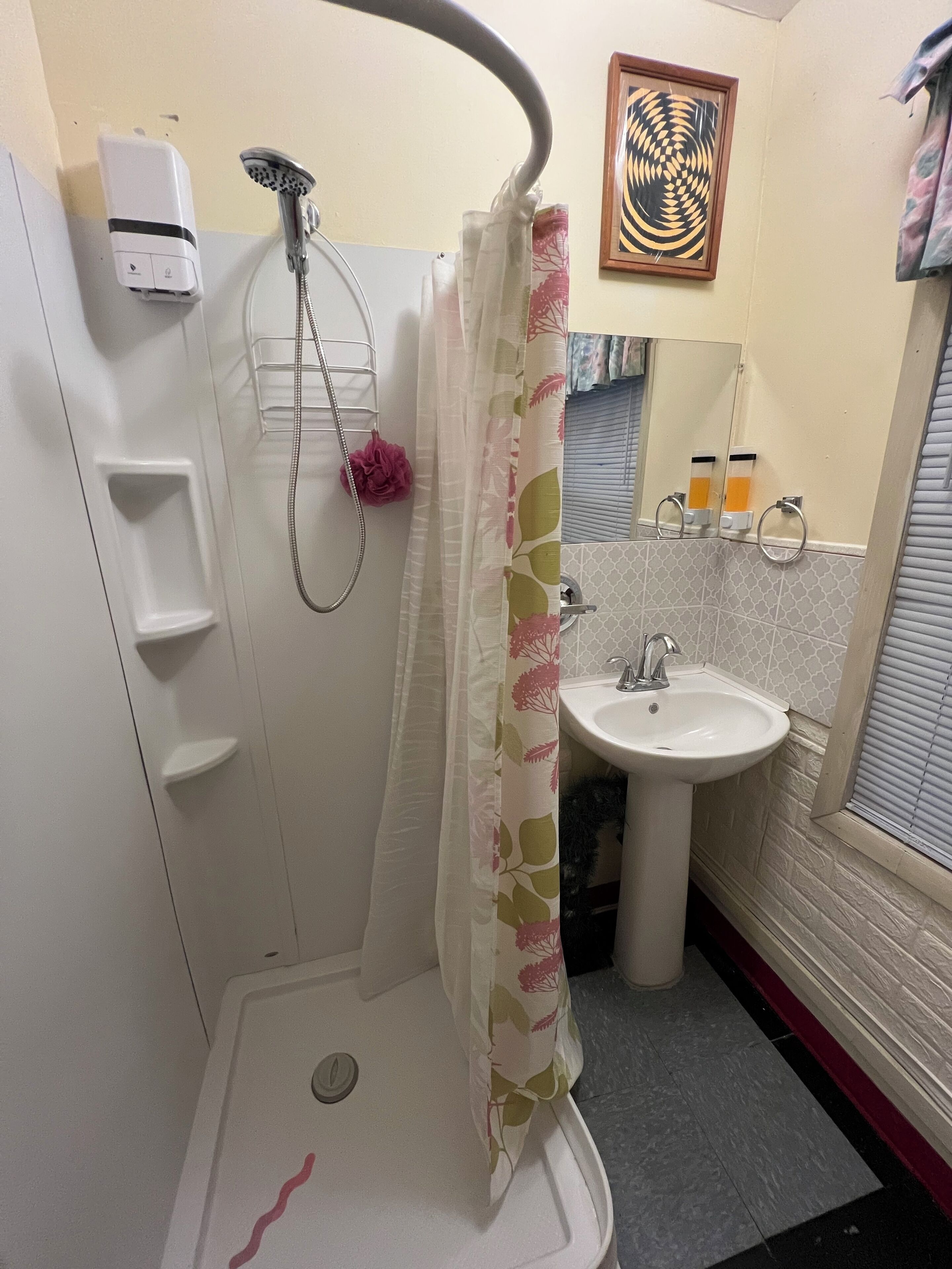 Ensemble douche/baignoire, sèche-cheveux, serviettes fournies, savon