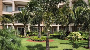 Een hotel binnenplaats met palmbomen, verzorgd gras en een zwembad.
