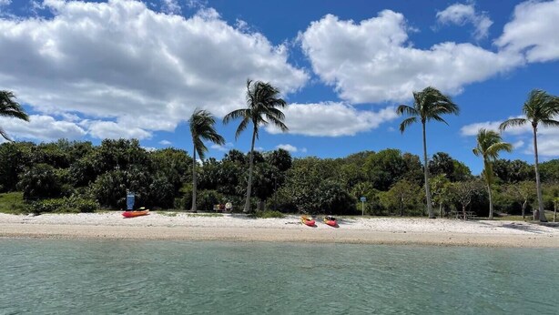 A beach with clear turquoise water, white sand, and palm trees. - Hot tub, tiki bar, outdoor shower, water access! (West Palm Beach)