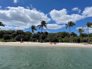 A beach with clear turquoise water, white sand, and palm trees.