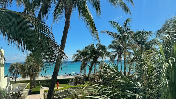 Vista de un resort frente a la playa, con palmeras, un camino y la vista del océano.