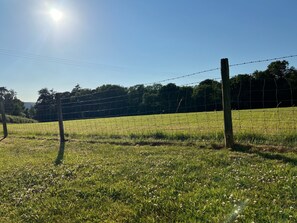 Property grounds - Heavenly Retreat - spacious & peaceful with patio (Ciliau Aeron)