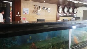 Mostrador de recepción de hotel con un gran acuario al frente.