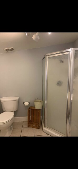 Shower, towels, toilet paper