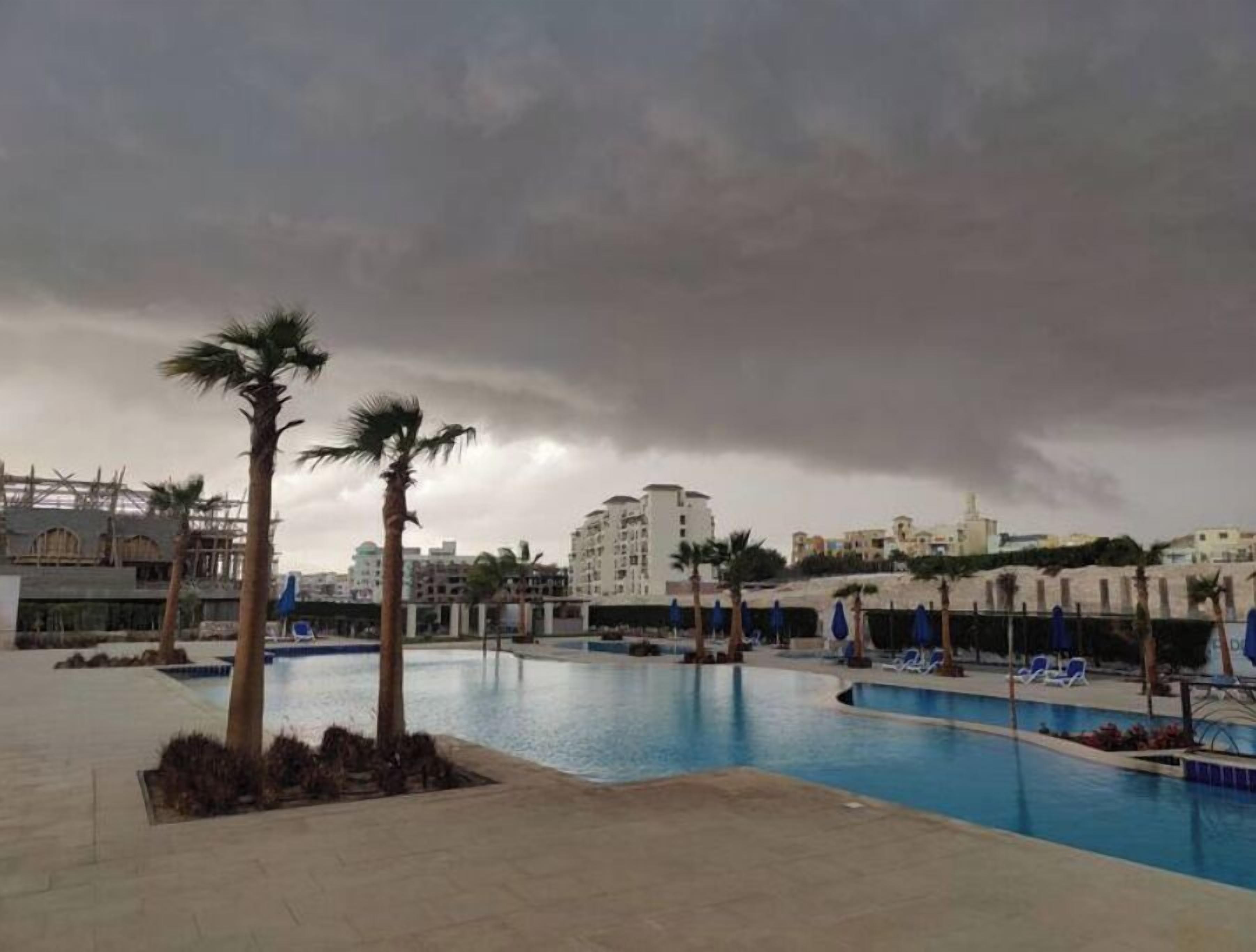 A swimming pool area with palm trees, lounge chairs, and a cloudy sky.
