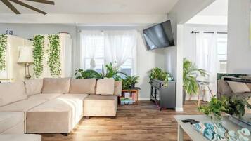 Smart TV, chimenea, libros y estéreo