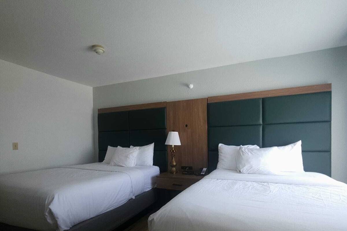 Ein Hotelzimmer mit zwei Einzelbetten, einem Holz-Kopfstück, einer Nachttischlampe und Holzboden.