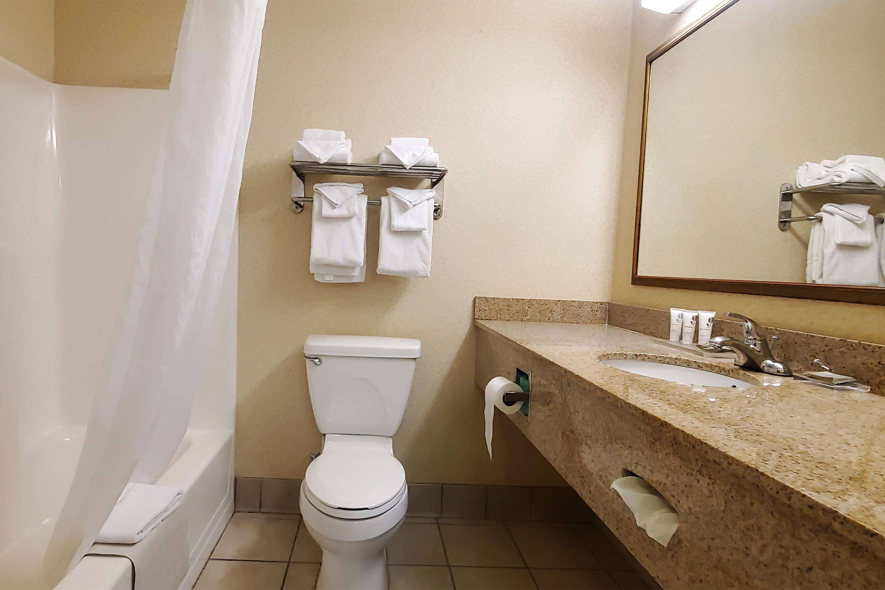 hair dryer, towels, soap, shampoo