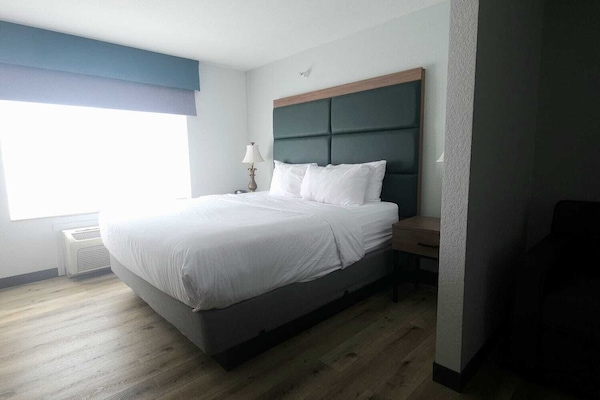 Single Room, 1 King Bed, Non Smoking | Hypo-allergenic bedding, pillowtop beds, individually decorated