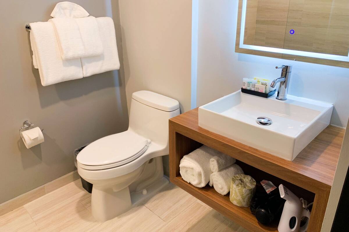 shower, free toiletries, hair dryer, towels