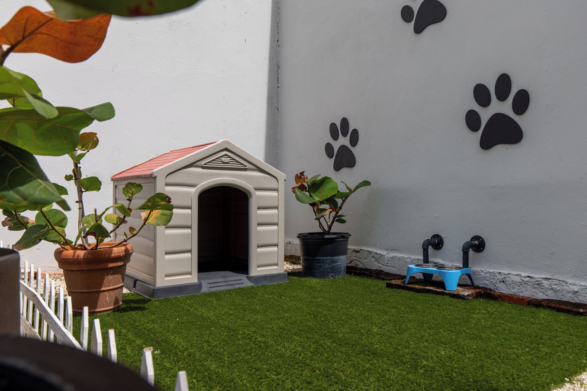 Servicios para mascotas