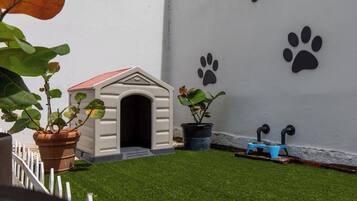 Servicios para mascotas