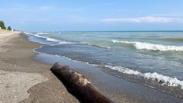 Een strand met een grote boomstronk op de voorgrond, golven die zachtjes op het strand komen, en een helderblauwe lucht.