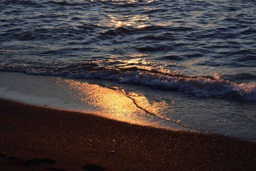 Chic House PC - Updated 3 Bedr close to downtown