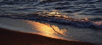 Chic House PC - Updated 3 Bedr close to downtown