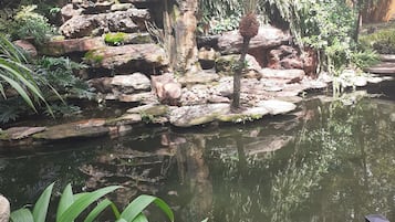 Jardín