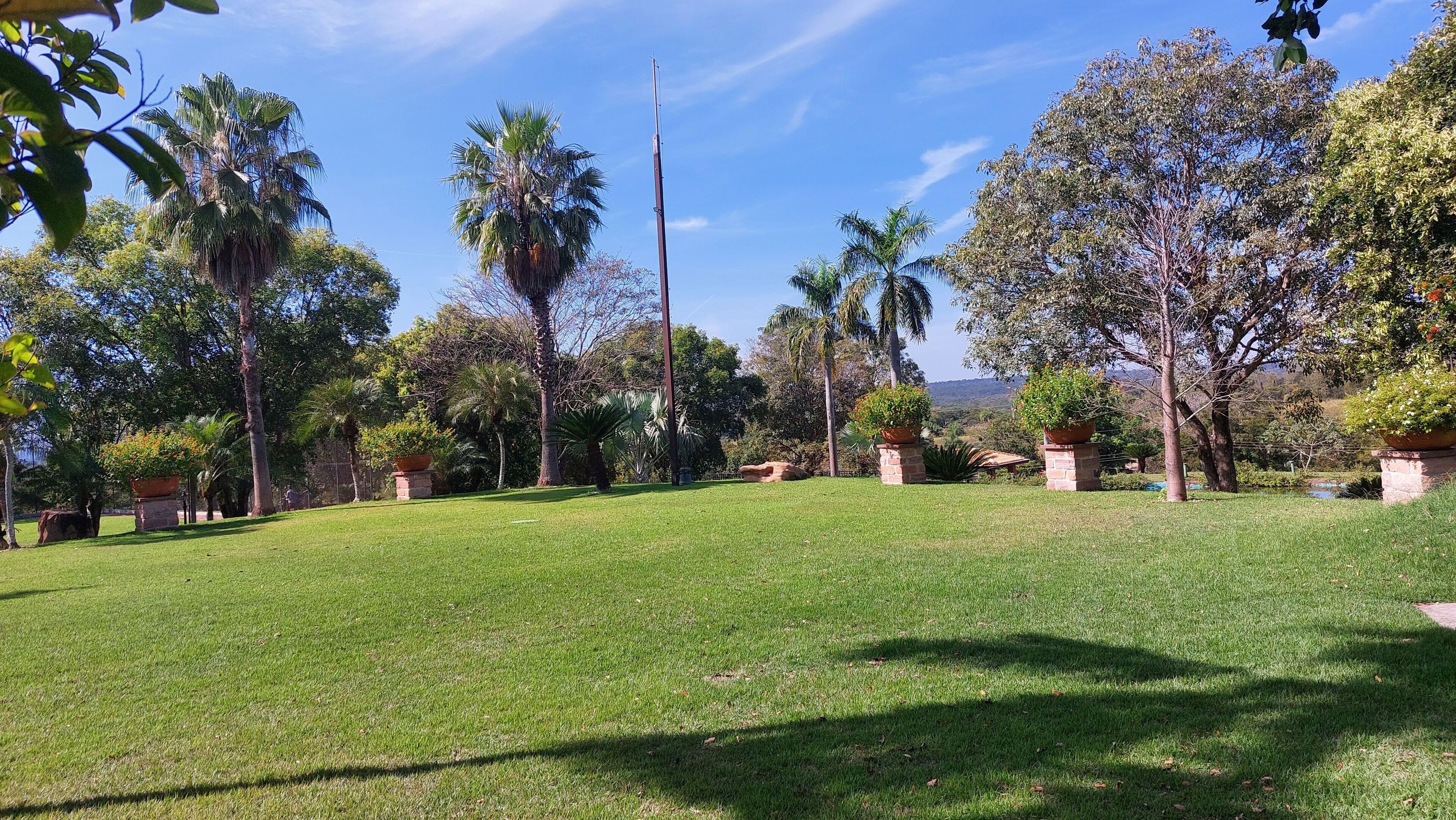 A well-maintained grassy lawn with several palm trees and potted plants, surrounded by a variety of trees and a clear sky.