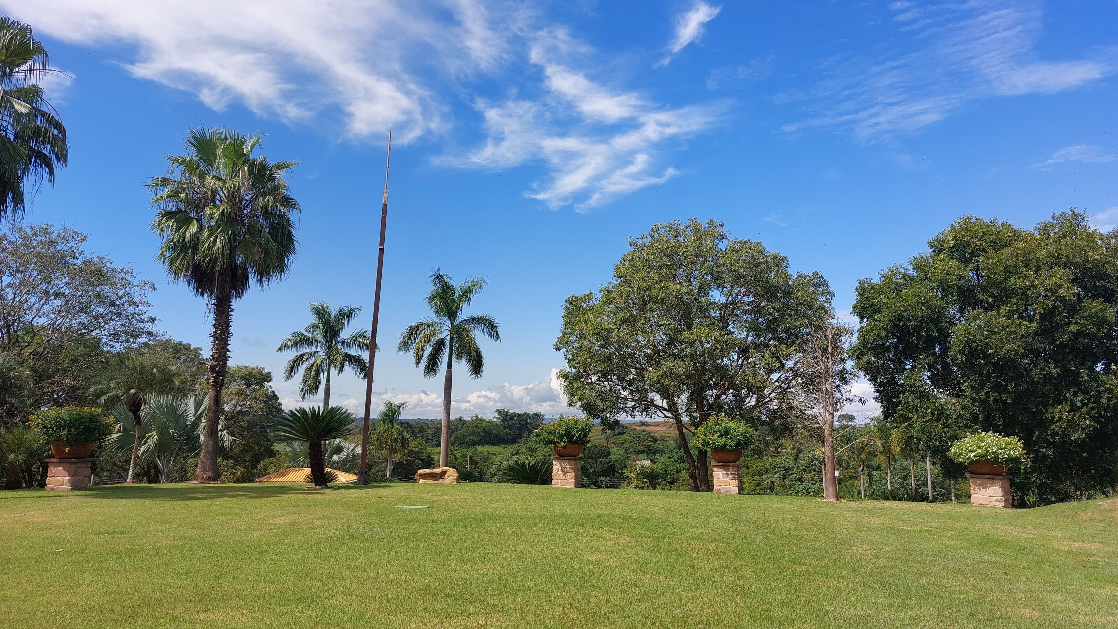 A well-maintained grassy lawn with palm trees and large trees, surrounded by stone planters.