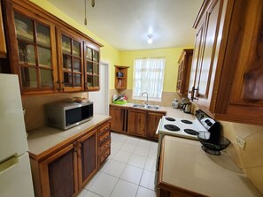 Fridge, microwave, stovetop, electric kettle