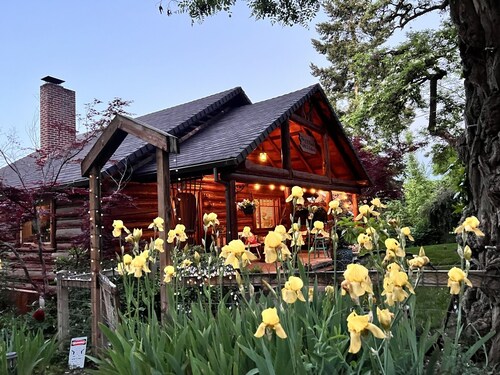 Share a Spacious log cabin home. 5 minutes walk to Historic Jacksonville! 