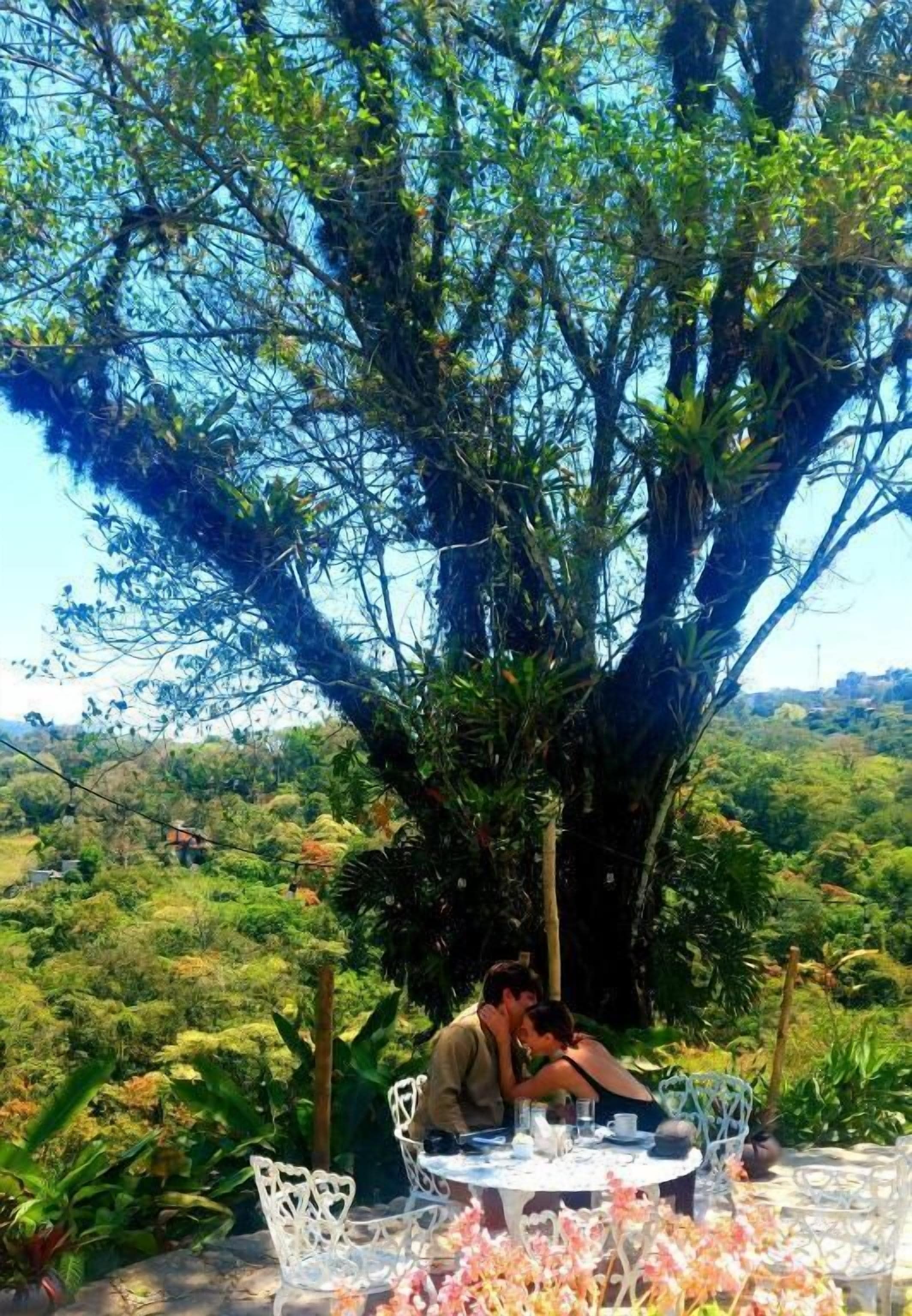 Una pareja cenando en una mesa bajo un árbol grande, con vistas a un paisaje exuberante.