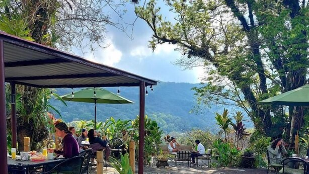 An outdoor dining area with stone flooring, tables, chairs, and umbrellas. - Posada James (Xilitla)